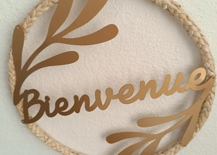 Cocon Lumineux Avec Cour Privee Apartman *